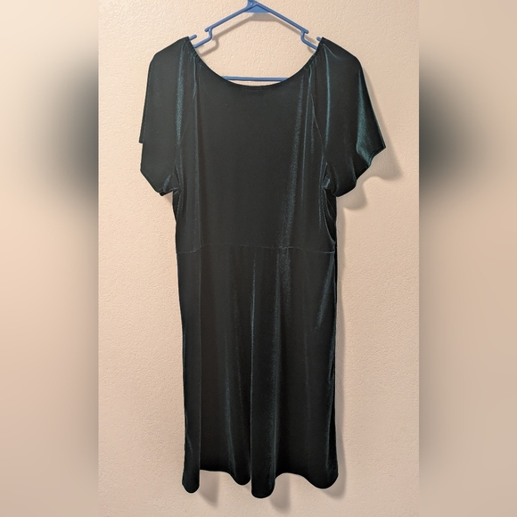 Place Green Flutter Sleeve Velvet Dress - Picture 2 of 4